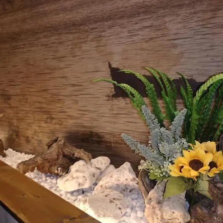 Le 3 Dee Bed & Breakfast 3*